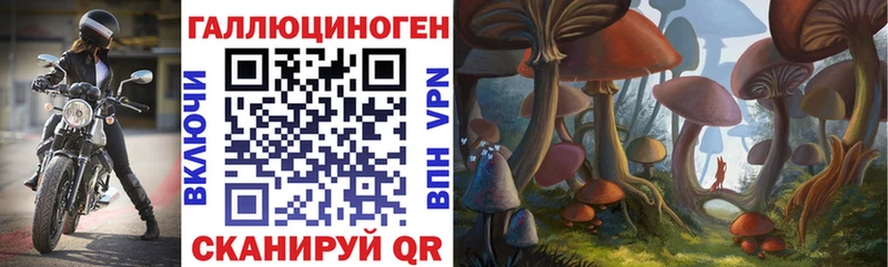 hydra ССЫЛКА  Николаевск  Галлюциногенные грибы Magic Shrooms 